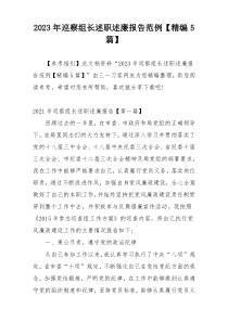 2023年巡察组长述职述廉报告范例【精编5篇】