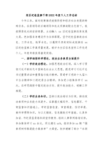 某区纪检监察干部2022年度个人工作总结