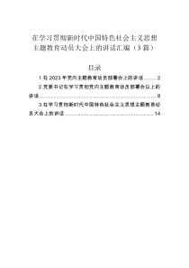 在学习贯彻新时代中国特色社会主义思想主题教育动员大会上的讲话汇编3篇