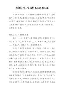 担保公司工作总结范文范例5篇