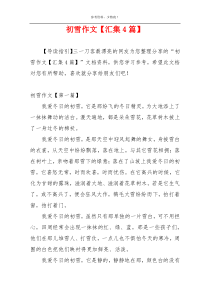 初雪作文【汇集4篇】