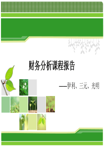 伊利财务分析