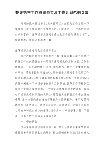 督导销售工作总结范文及工作计划范例3篇