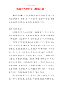 我的小天地作文（精编4篇）