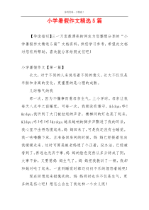 小学暑假作文精选5篇