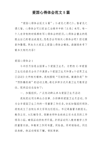 爱国心得体会范文5篇