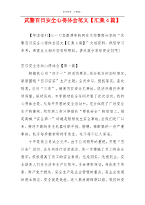 武警百日安全心得体会范文【汇集4篇】