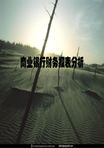 商业银行财务报表分析