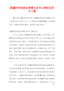 新疆的劳动就业保障白皮书心得体会范文5篇