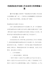 民族团结进步创建工作总结范文范例精编3篇