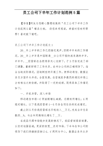 员工公司下半年工作计划范例5篇