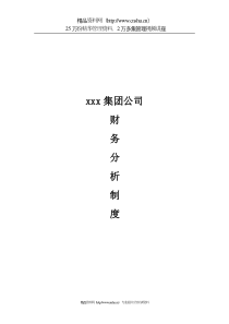 XX为某集团做的-财务分析制度