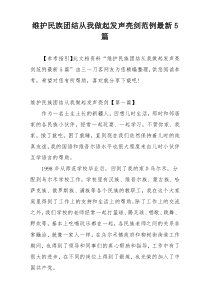 维护民族团结从我做起发声亮剑范例最新5篇