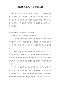 规划管理局的工作规划5篇
