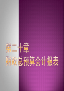 第二十章财政总预算会计报表