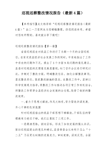 巡视巡察整改情况报告（最新4篇）