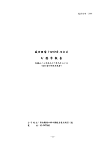 威盟电子股份有限公司财务季报表