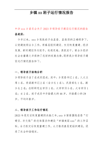 乡镇xx班子运行情况报告