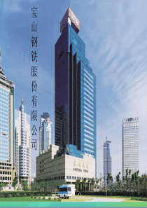 宝钢财务财务分析演示文稿