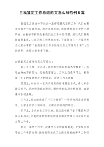 自我鉴定工作总结范文怎么写范例5篇
