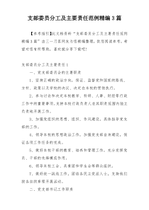 支部委员分工及主要责任范例精编3篇