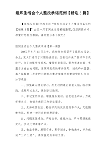 组织生活会个人整改承诺范例【精选5篇】