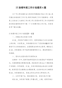 IT助理年度工作计划通用4篇