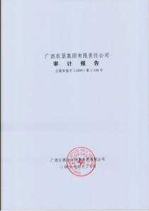 年度合并财务报表附注