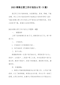 2023销售主管工作计划怎么写（5篇）