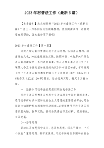 2023年村普法工作（最新5篇）