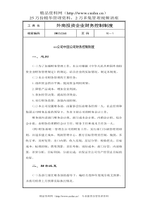 外商投资企业财务控制制度