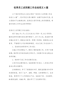 优秀员工试用期工作总结范文4篇