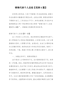销售代表个人总结【范例4篇】