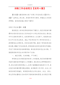 训练工作总结范文【实用4篇】