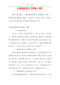 乡镇调研报告【精编4篇】