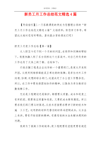 新员工月工作总结范文精选4篇