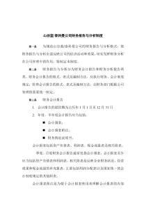 山谷蓝&泰科曼贸易公司财务报告与分析制度