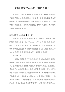 2023辅警个人总结（通用4篇）