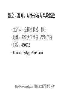 新会计准则、财务分析与风险监控(ppt 101页)