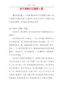 桔子观察日记最新4篇