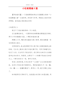 小松鼠精编5篇
