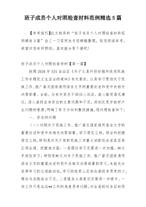 班子成员个人对照检查材料范例精选5篇