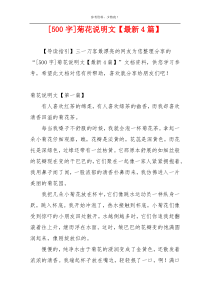 [500字]菊花说明文【最新4篇】