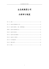 财务内部审计制度[1]