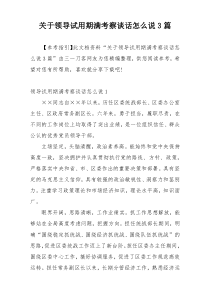 关于领导试用期满考察谈话怎么说3篇