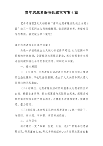 青年志愿者服务队成立方案4篇