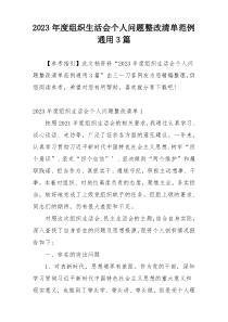 2023年度组织生活会个人问题整改清单范例通用3篇