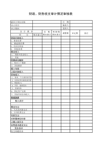 财政、财务收支审计情况审核表