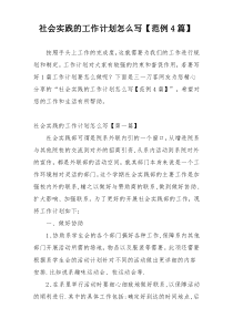 社会实践的工作计划怎么写【范例4篇】