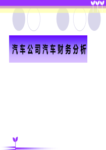 汽车公司财务分析模板
